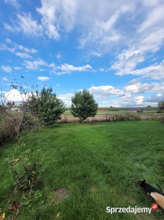 dom wolnostojący na sprzedaż Belsk Duży