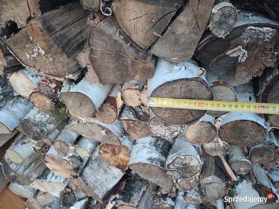 Drewno opałowe brzoza kominkowe suche świętokrzyskie Ćmińsk