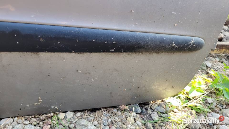 Drzwi Peugeot 206 Łagów