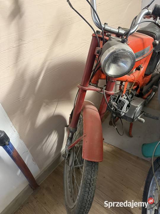 Sprzedam opłacony Kozy