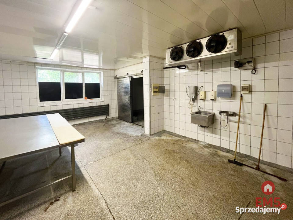 wynajmu lokalu Białystok 450m2