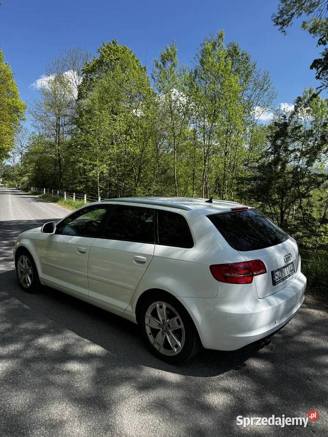 Audi A3 20 TDI COMMON RAIL garażowany A3 Cisiec