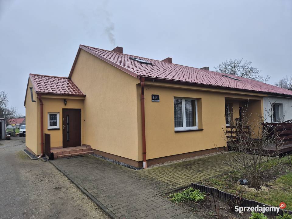 Syndyk sprzeda lokal mieszkalny w miejscowości Sprzedaż Nieczajna