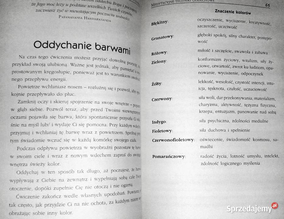 Techniki oddychania Markus Schirner Pozostałe Chełm sprzedam