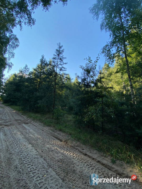 sprzedaży działki 1322m2 Niemianowice 1322m2 mazowieckie