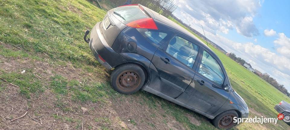 Ford Focus Gorzów Śląski