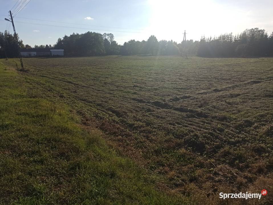 Sprzedam działki budowlane każda 1500m2 we wsi prąd Grochowa