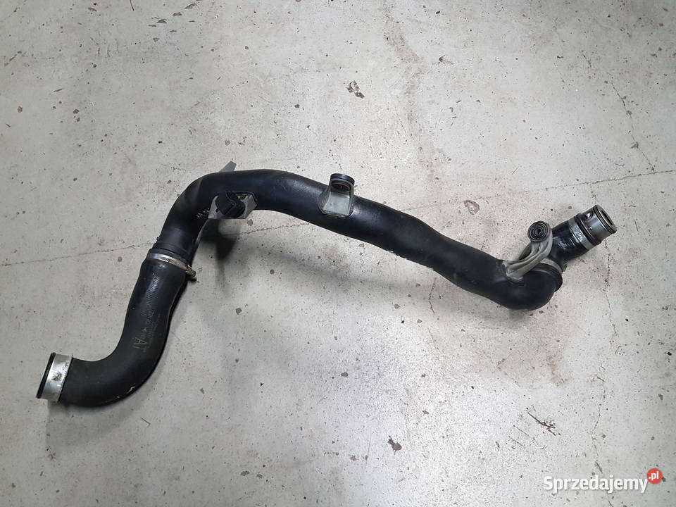 VW GOLF V AUDI A3 8P 19 TDI WAZ POWIETRZA RURA wielkopolskie Turkowice