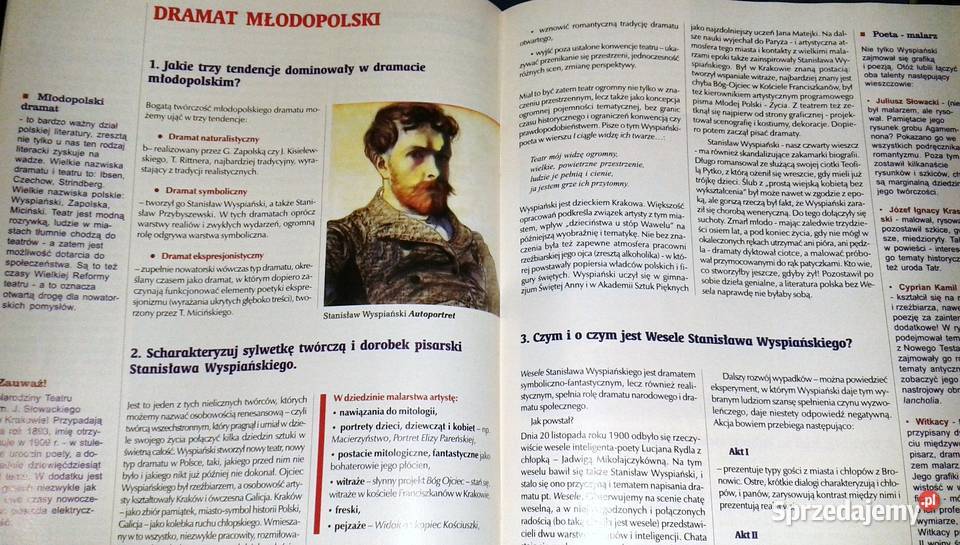 Cogito Język polski 6 Pytania i odpowiedzi Chełm sprzedam