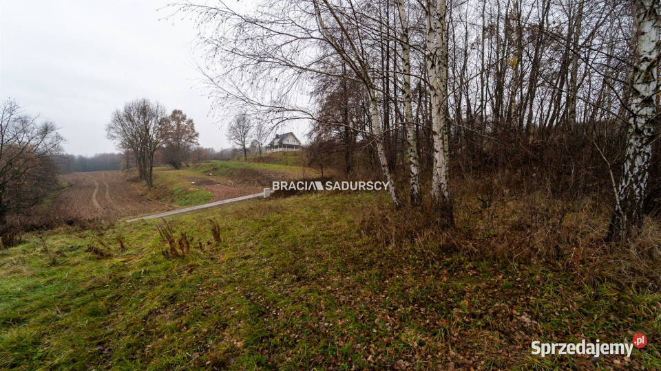 Grunt Podstolice 3600m2 80zł/m2