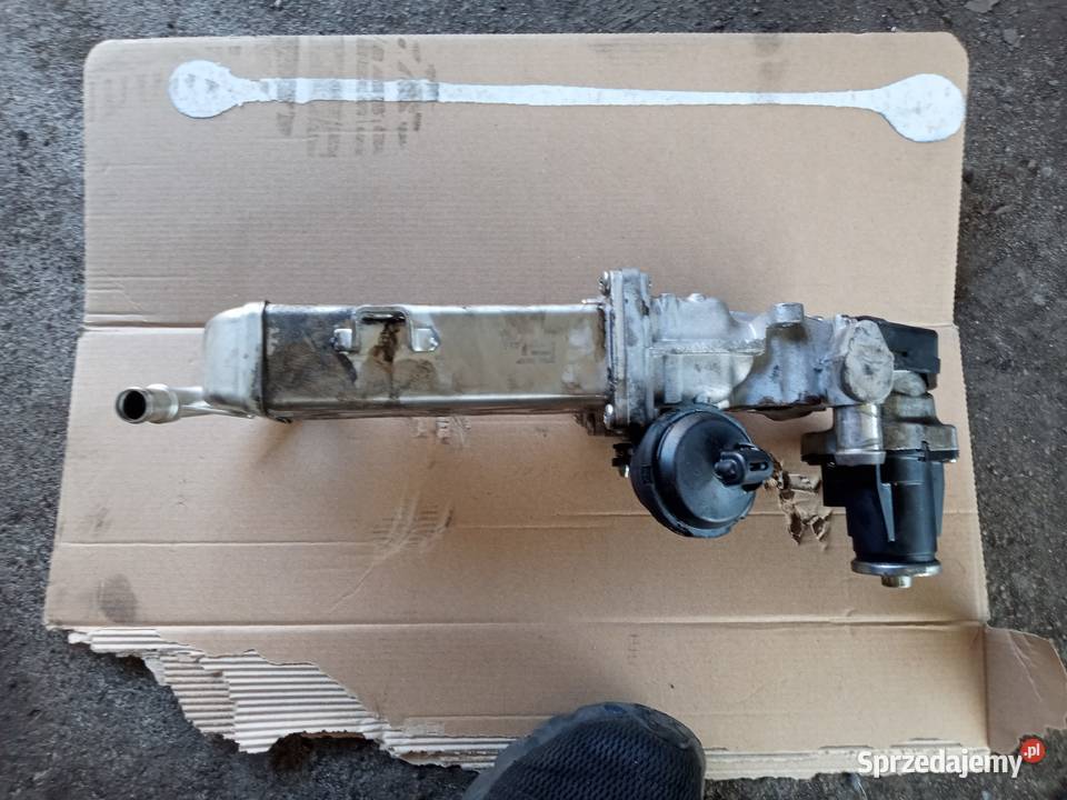 EGR z chłodnica spalin VW golf 6 20tdi blok silnika lubuskie Lubsko