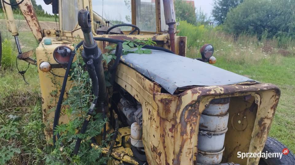 Ostrówek godny zakupu Nysa