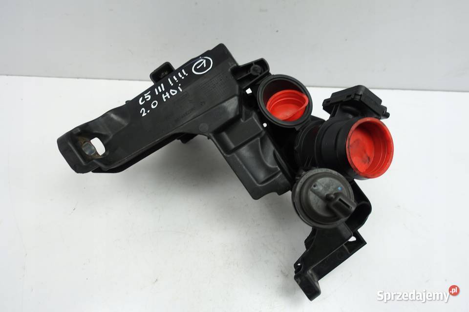 Citroen C5 III 20 HDI ŁAPA KOLEKTORA mocowanie Rudka
