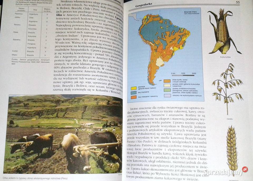 ABC Świat Ameryka Południowa Wiesław Maik lubelskie Chełm sprzedam