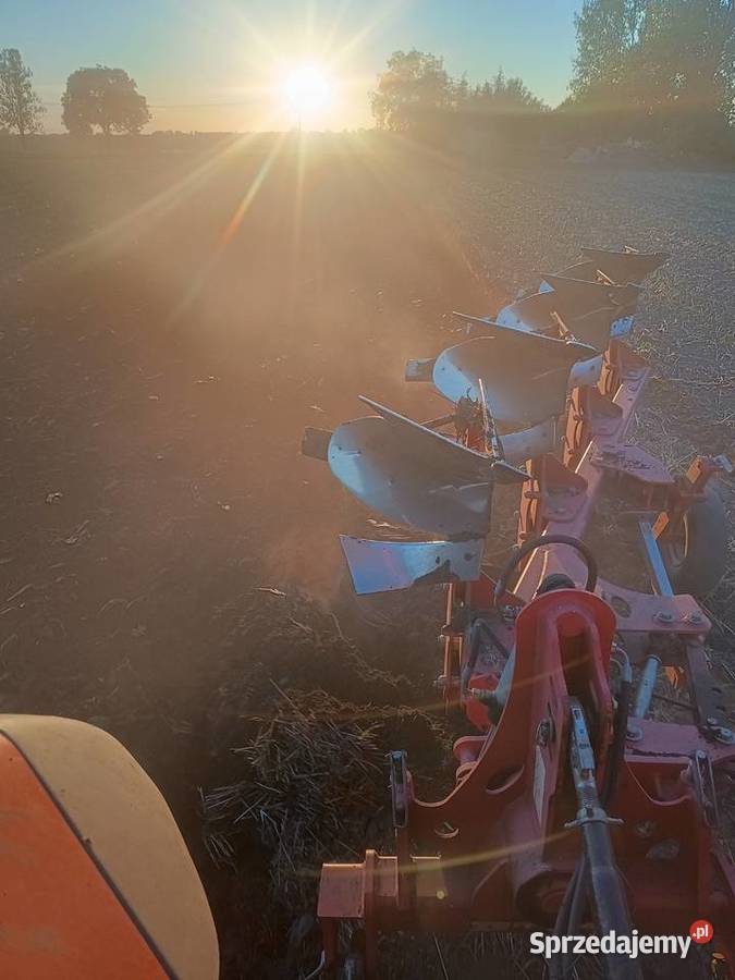 Pług obrotowy Radziejów