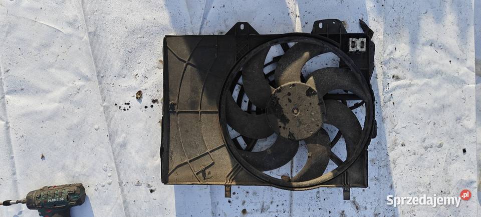 Citron Citron c2 c3 c4 Ds3 Opel crossland Wentylatory chłodnicy sprzedam