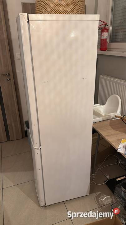 Lodówka Amica wolnostojaca Poznań