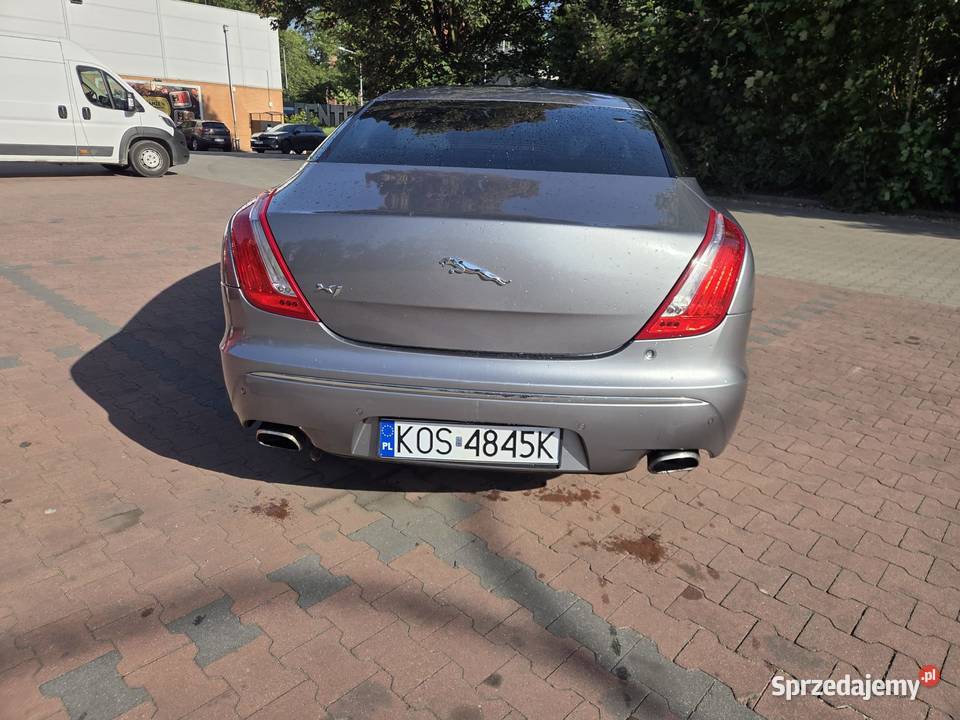 Jaguar XJ351 krajowy zamiana Jaguar Katowice