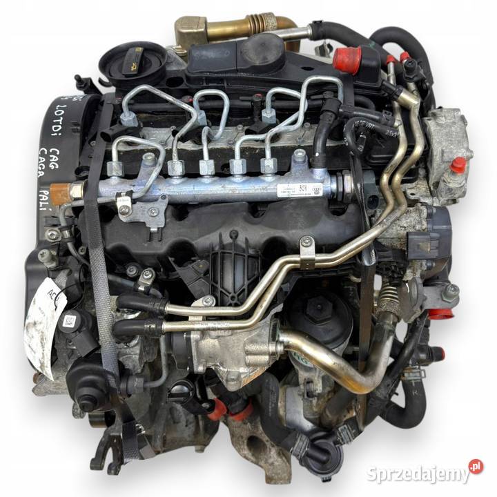 SILNIK CAG CAGA Audi A4 B8 Q5 8R A5 8T Seat Exeo lubelskie Chełm