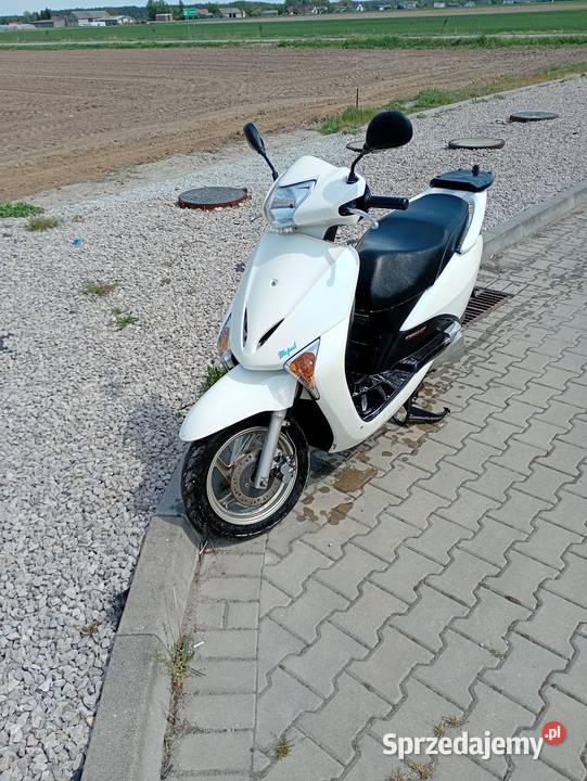 Honda Lead 110 perła Świnice Warckie