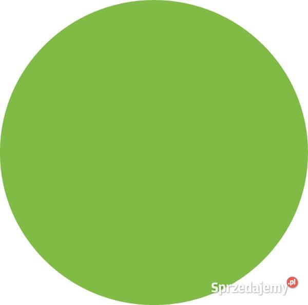 Uchwyt bramowy Neon zielony AKO 44959 Pozostałe Kamionna sprzedam