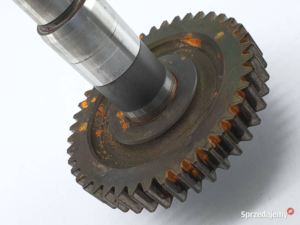 Tryb Zebatka Walek Napedowy Skrzynia Malaguti Łódź