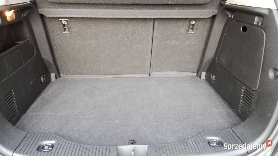 Pełen Carpass Zarejestrowany CD Poznań sprzedam