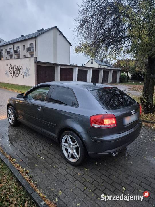 Sorzedam Audi a3 8p 19tdi Katowice