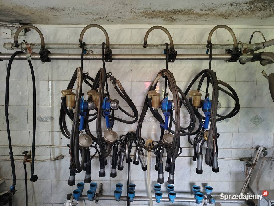 Dojarka przewodowa Alfa Laval lubelskie Charlejów