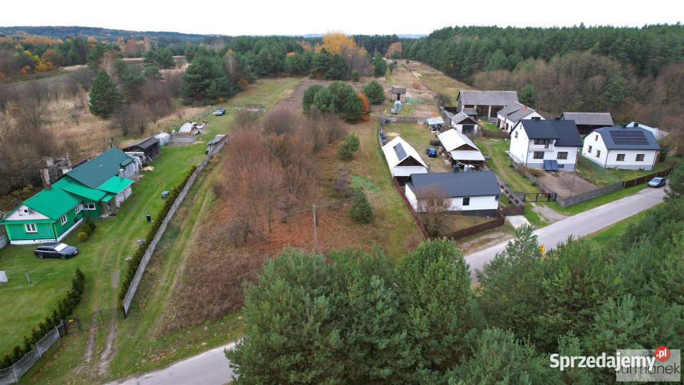 Grunt Kajetanówka 4877m2 Sprzedaż