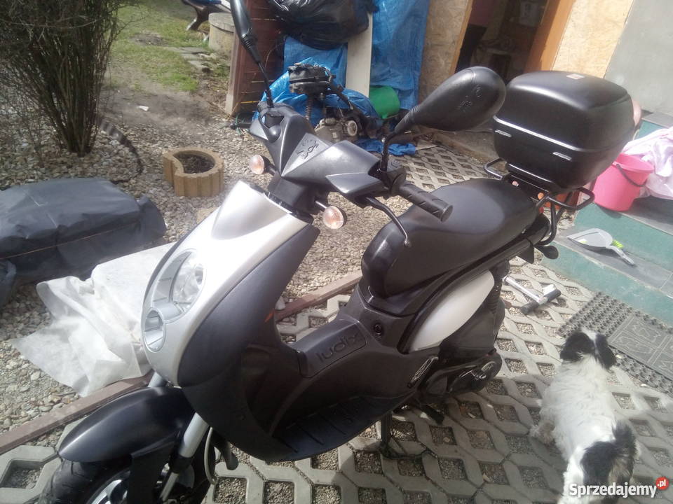 motoryzacja nieuszkodzony Skawa