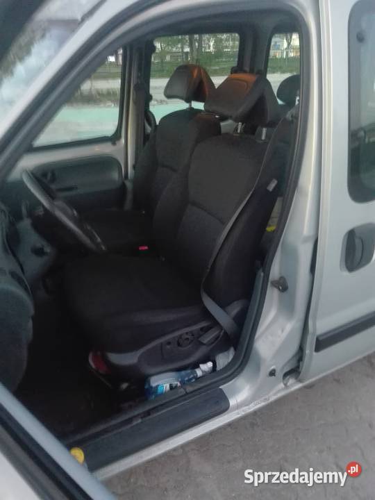 sprzedam kangura Warszawa sprzedam