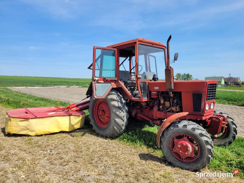 Sprzedam MTZ 82 4x4 Jędrzejów sprzedam