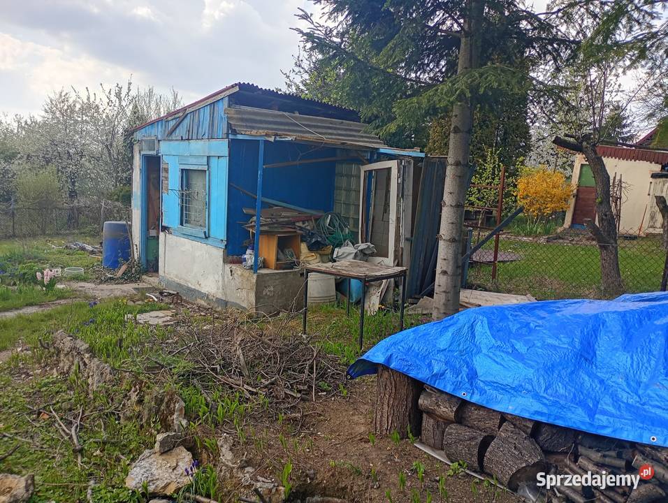 Działka ROD Wypoczynek Będzin Nieruchomości