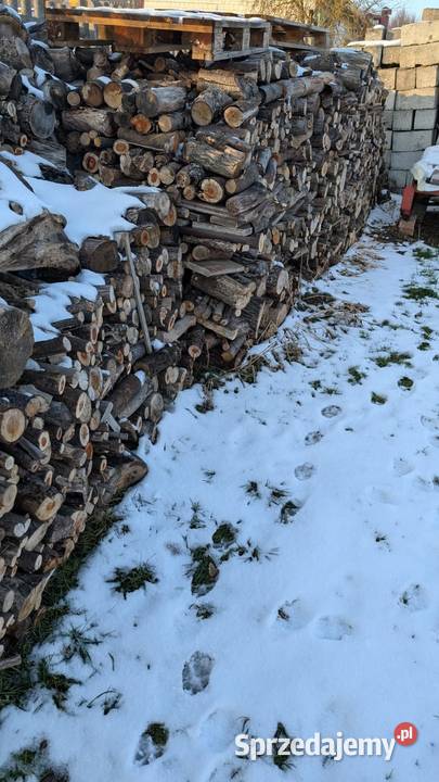 drewno liściaste Piekoszów