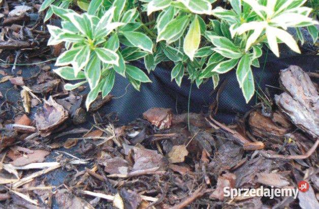 Agrotkanina tkanina MATA NA CHWASTY 32x25m AJJ mazowieckie