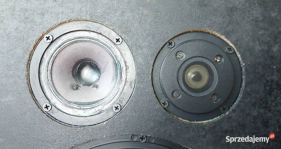 Kolumny RT Głośniki SEAS PHILIPS AlNiCo Made In Starachowice
