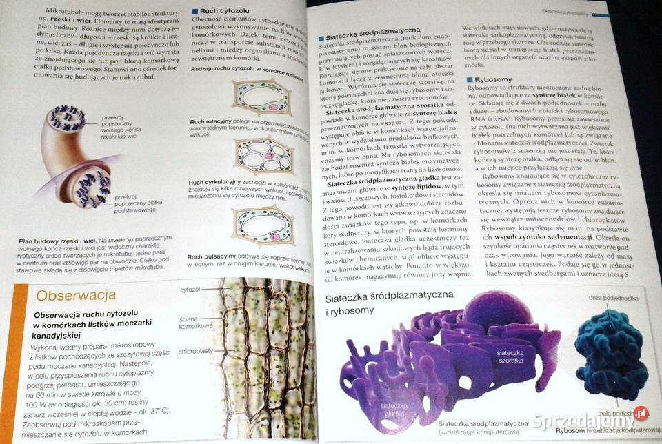 Biologia na czasie 1 Podręcznik Zakres lubelskie Chełm sprzedam