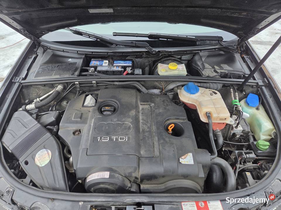 Audi A4 B6 19 TDI 115 2004r diesel Bargły