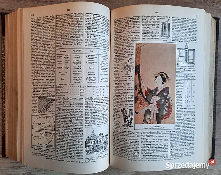 Der kleine Brockhaus AZ encyklopedia niemiecka Kultura i Rozrywka Ostrów Wielkopolski