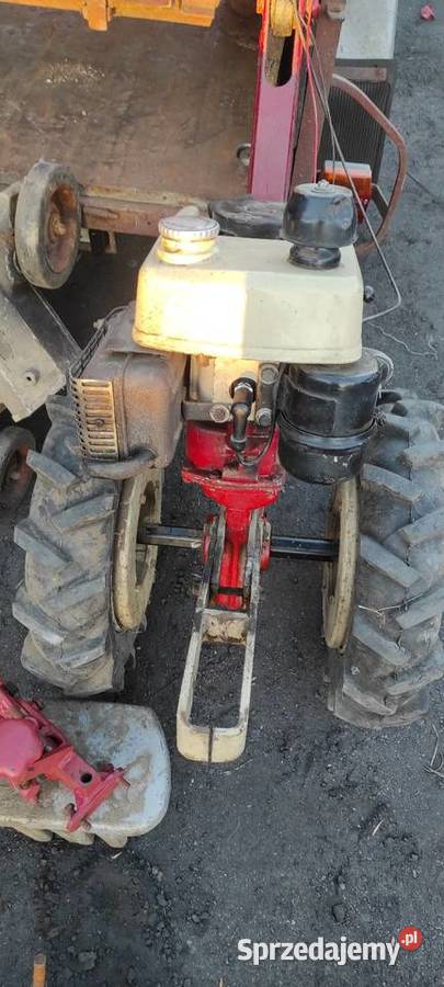 Terra vari jednoosiowy MF 70 gudbrod dzik Łowicz