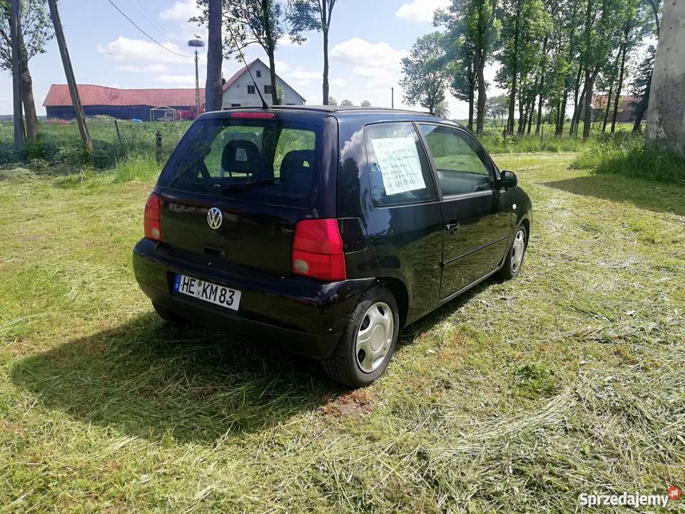 Lupo gotowe do rejestracji Lwowiec