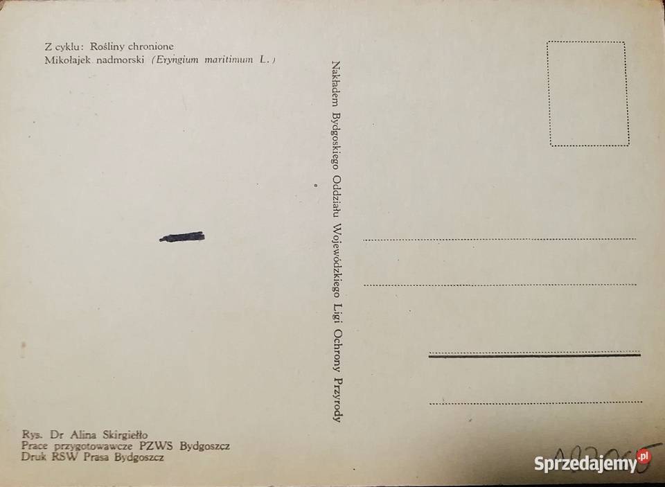 Alina Skirgiełło Rośliny chronione Kraków