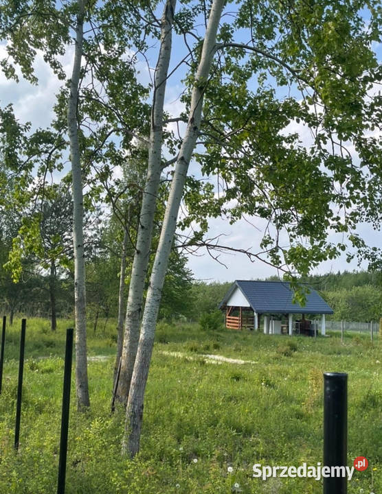 Sprzedam działkę1500m Grzybów gm Słubice powiat