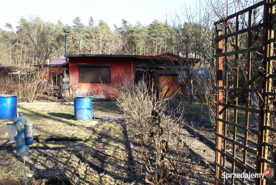Sprzedam działkę ROD Zalesie1 Starachowice o pow