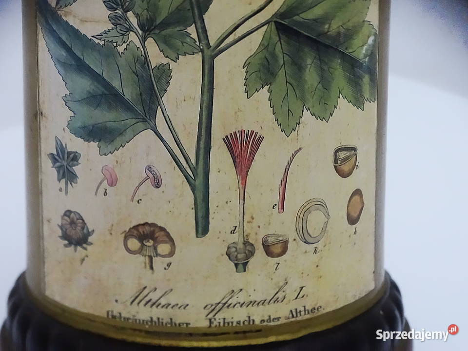 Zabytkowy pojemnik aptekarski z ilustracją Biłgoraj