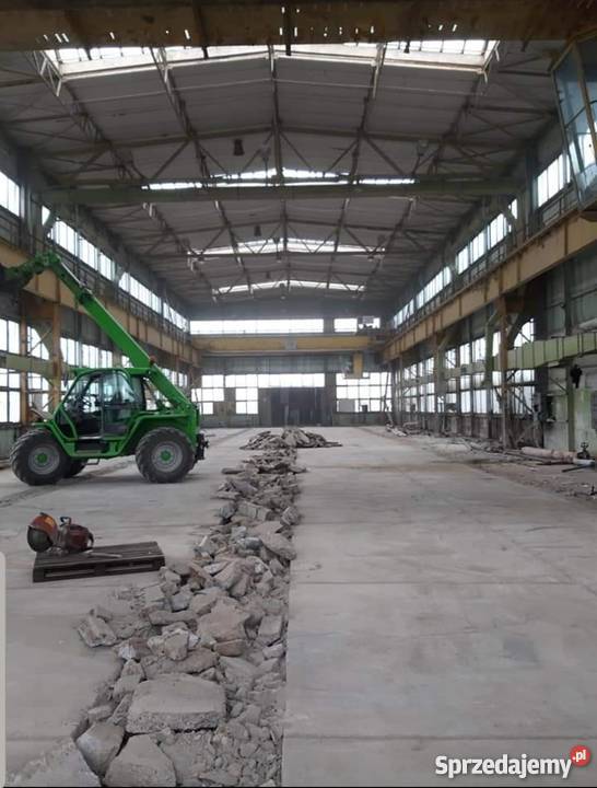 Suwnica 125 tony kompletna Jankowo