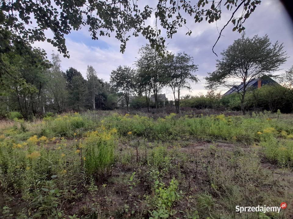 Sprzedam działki budowlane 980m2 i 670m2 670m2 mazowieckie Mszczonów
