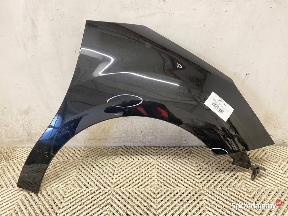 BŁOTNIK PRAWY PRZÓD CITROEN C3 II Hatchback podkarpackie