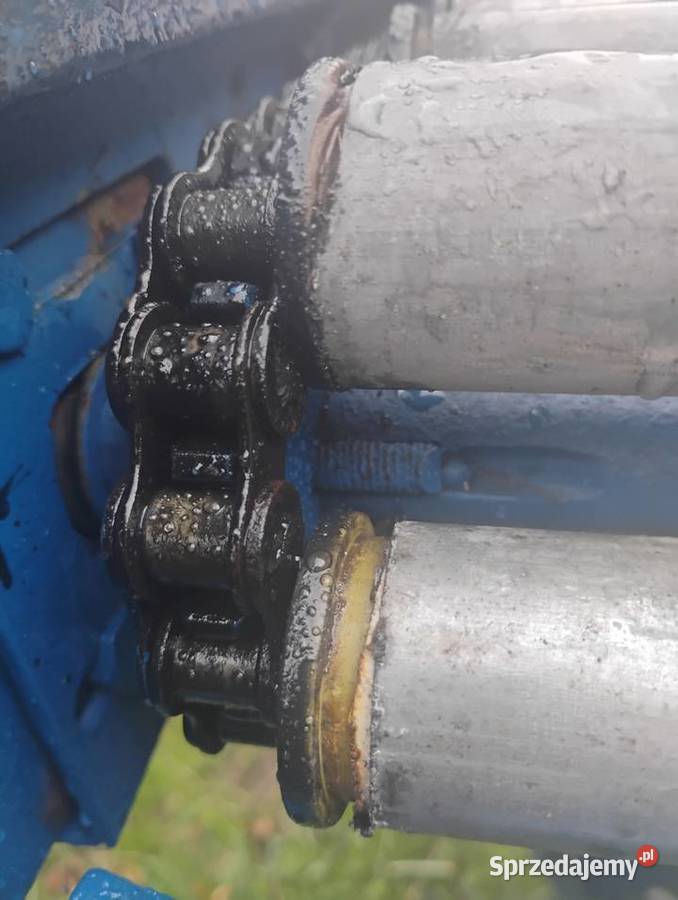 Sortownik do ziemniaków puck śląskie Pilica